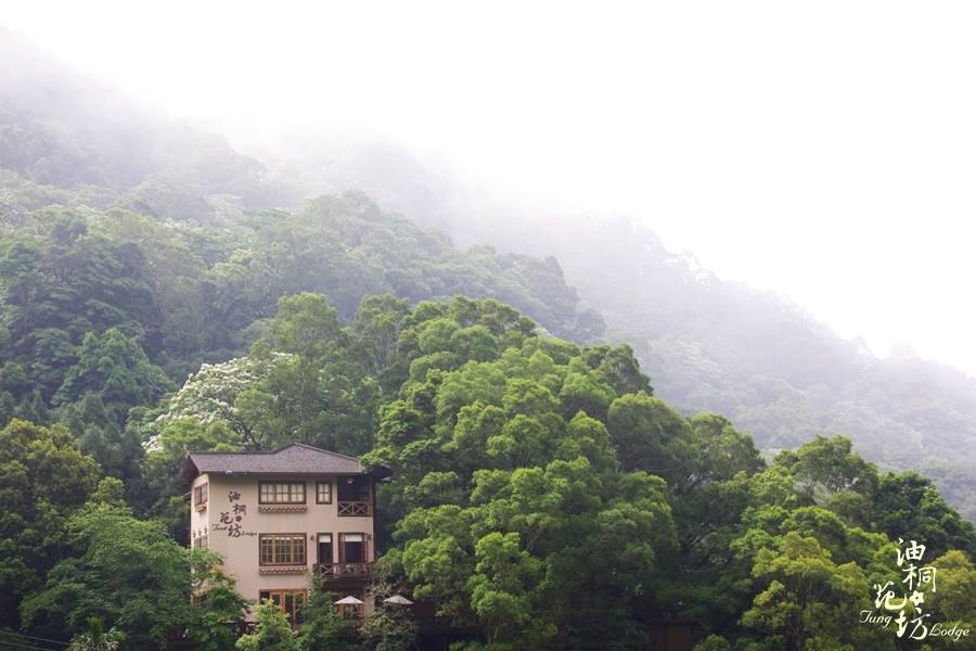 桐莊-1