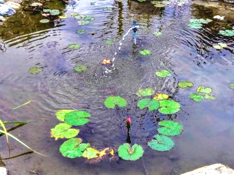心典莊園花蓮笛之森會館民宿-4
