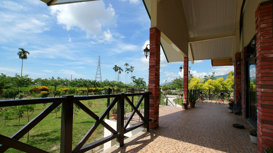 候鳥、飛行民宿8