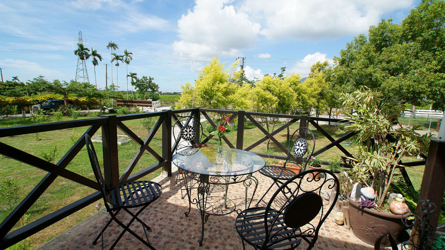 候鳥、飛行民宿9