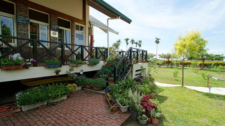 候鳥、飛行民宿10