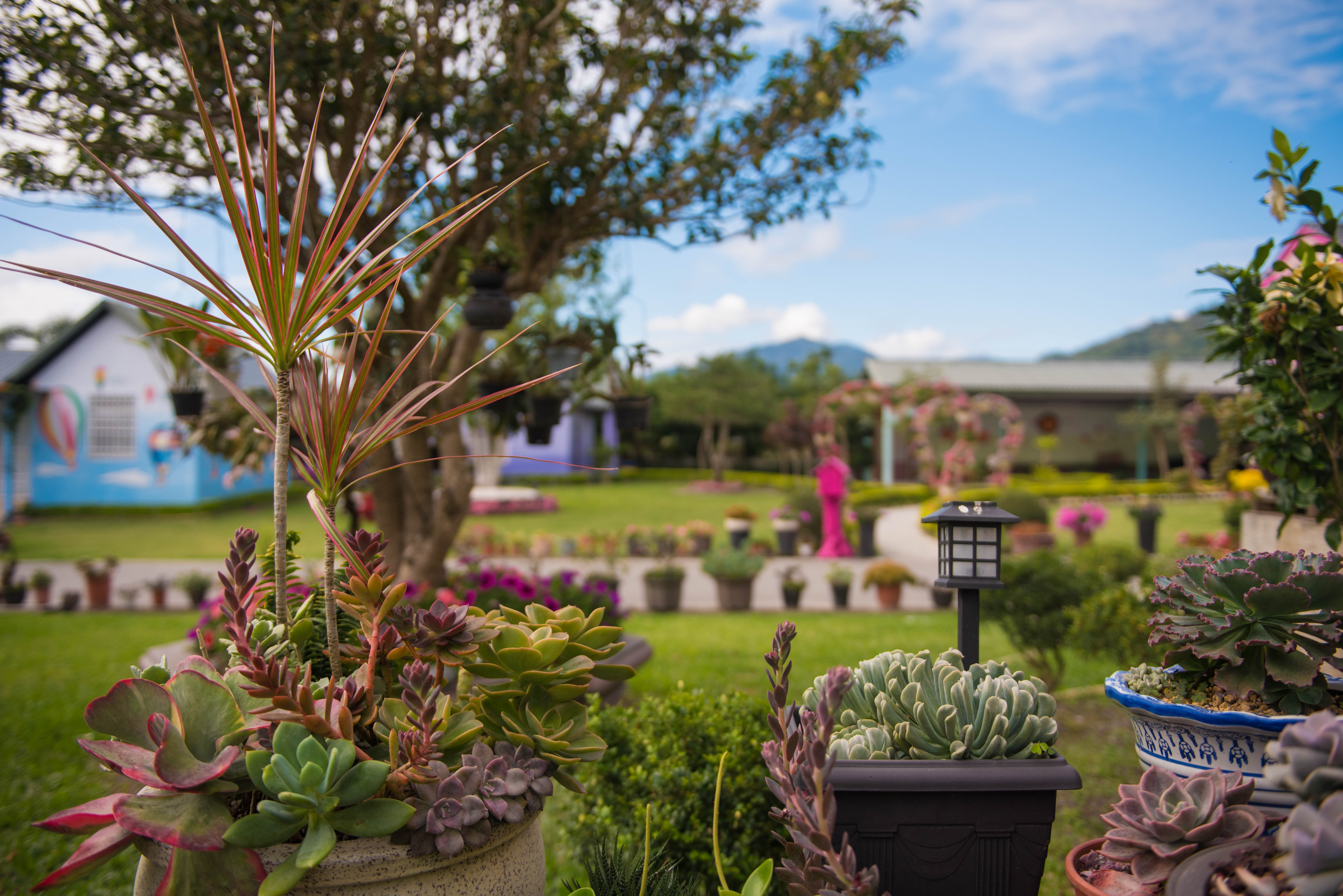 幸福旅行舍民宿-2