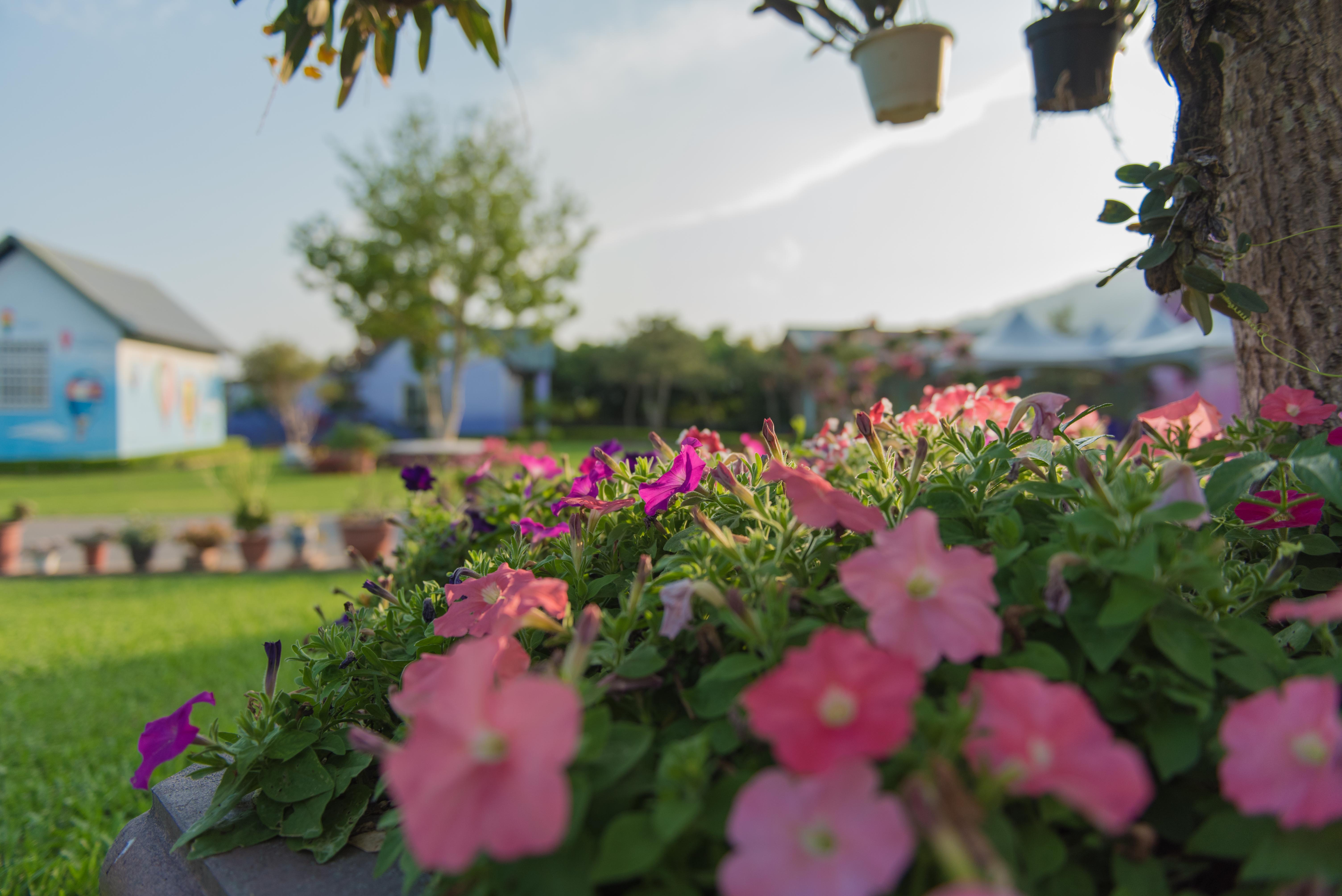 幸福旅行舍民宿-6