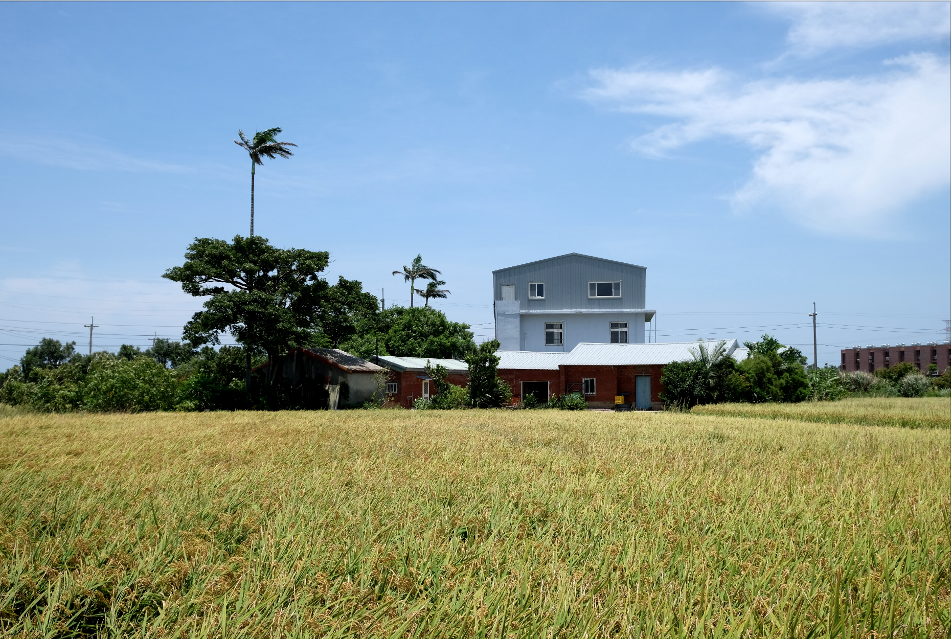 尞LIAU-1