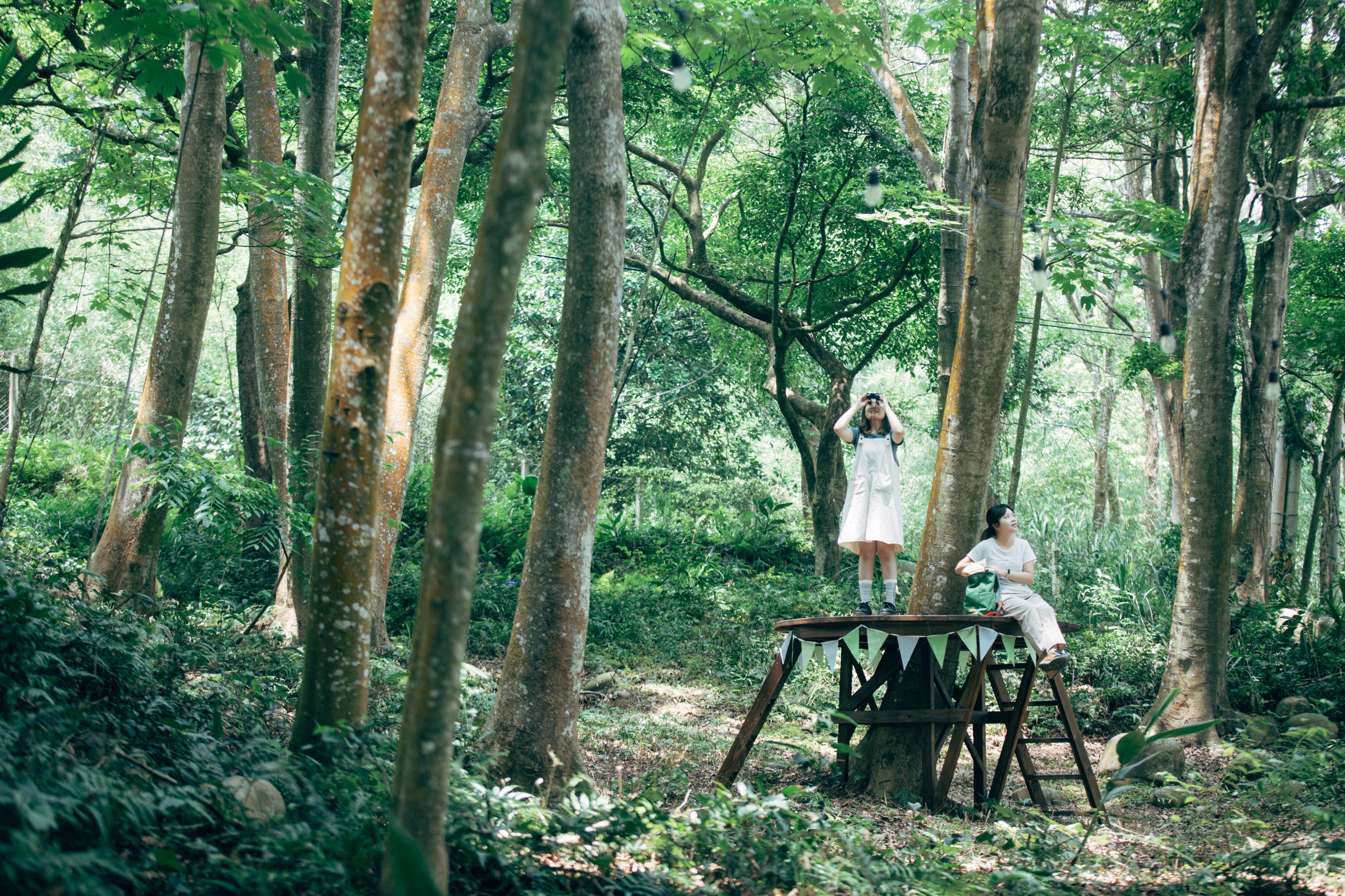 綠波浪森林會館民宿-5