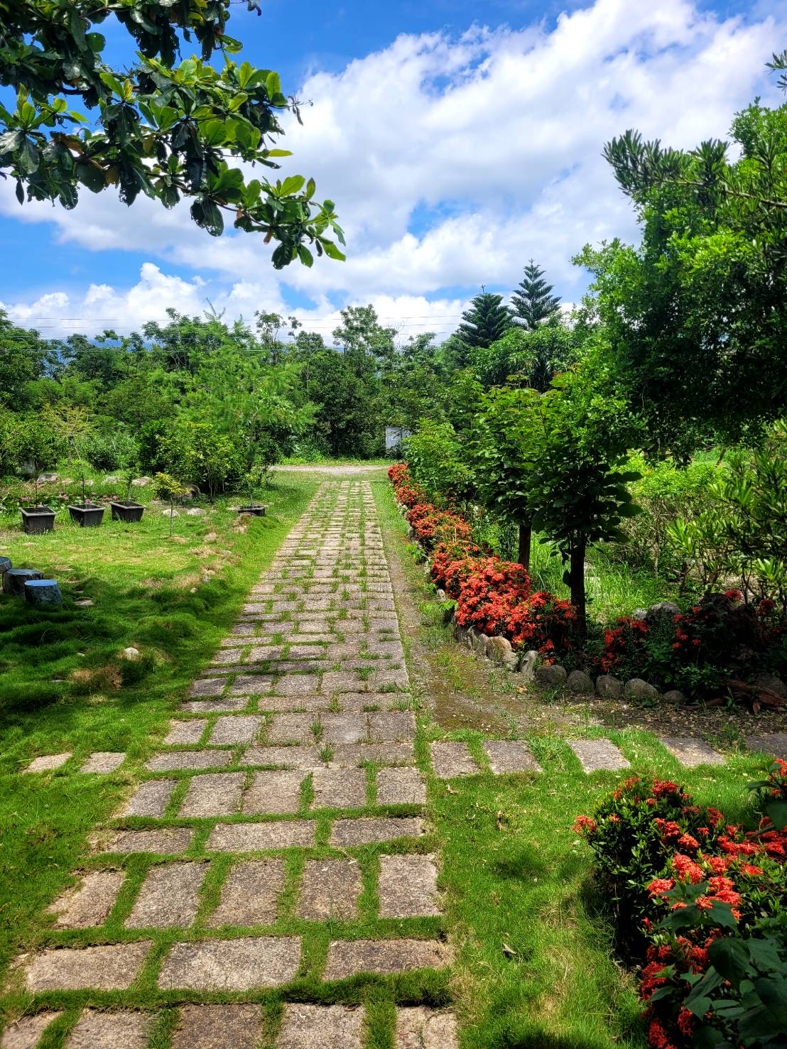 舒心緩緩庭園民宿-1