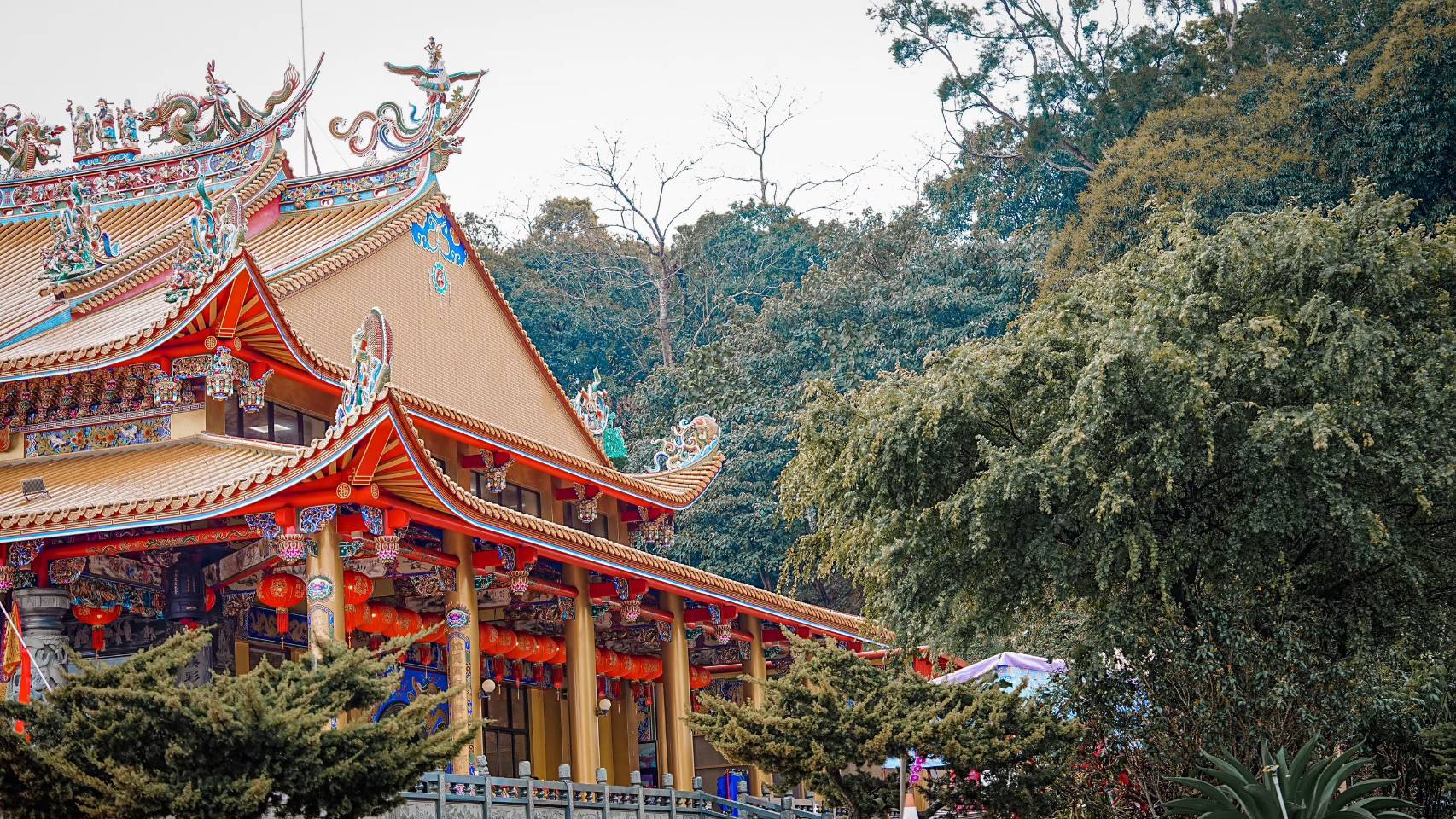 無患子的故鄉 母娘的家園-2