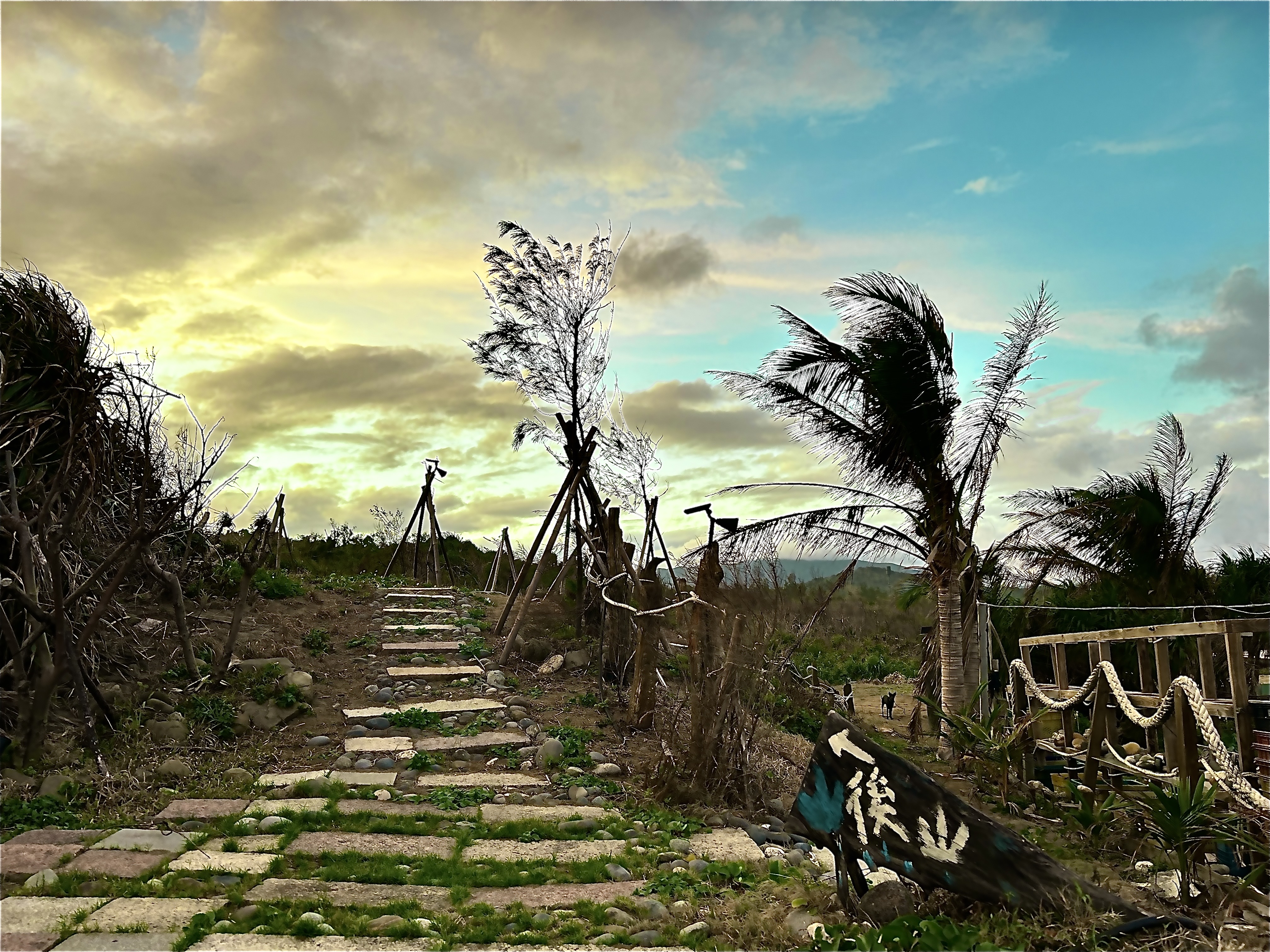 興海灣運動休閒會館-3