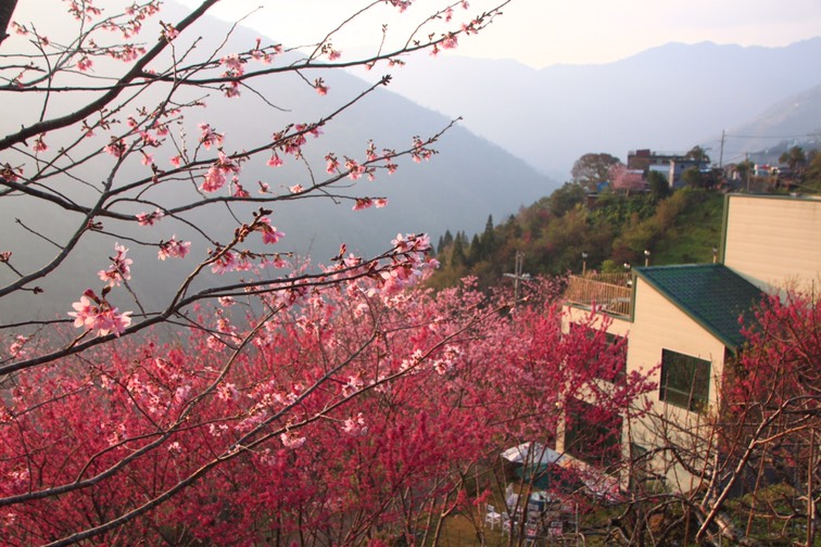 二馬山莊-5