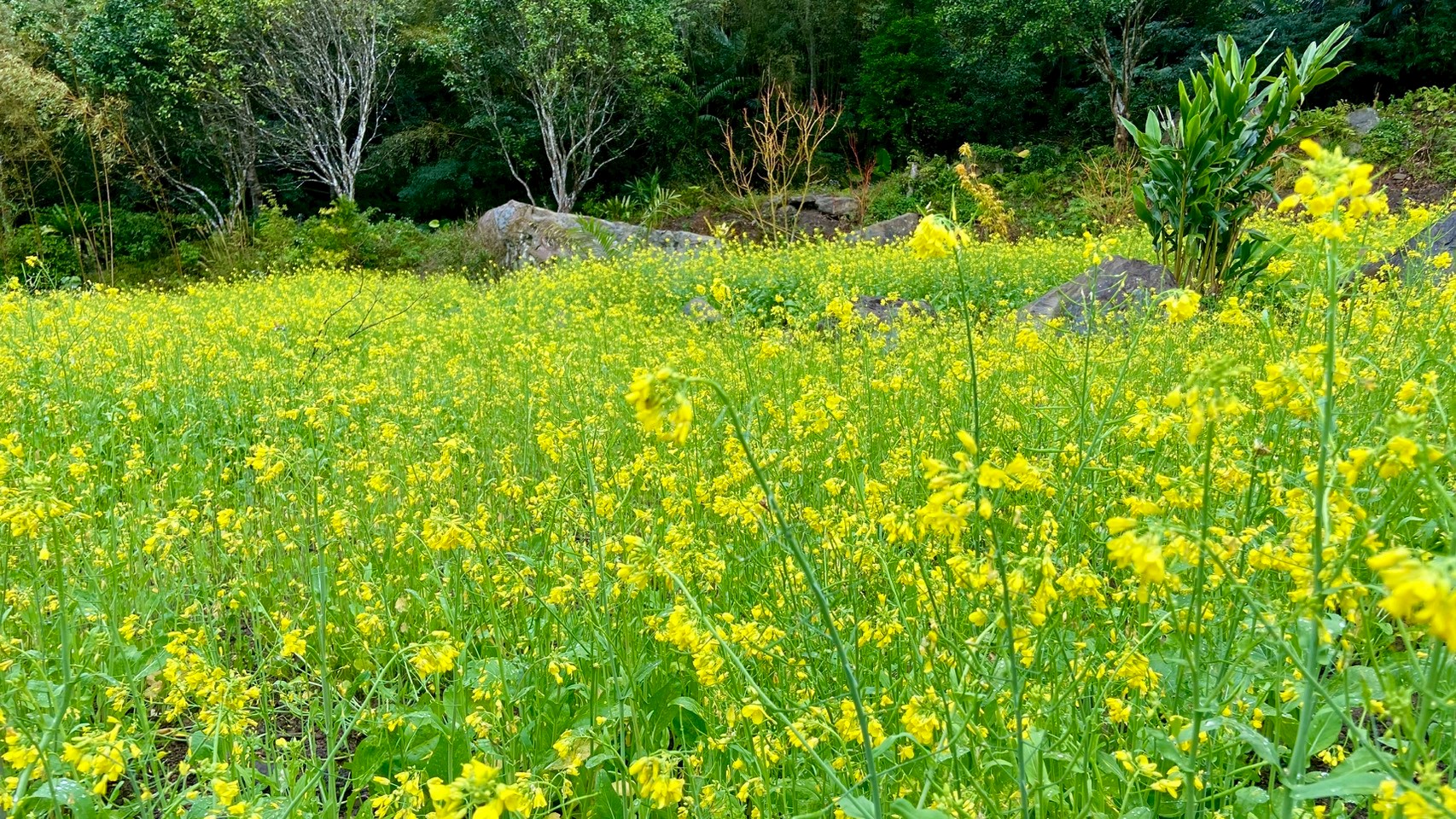 如家小憩民宿-4