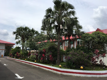 櫻花民宿-1
