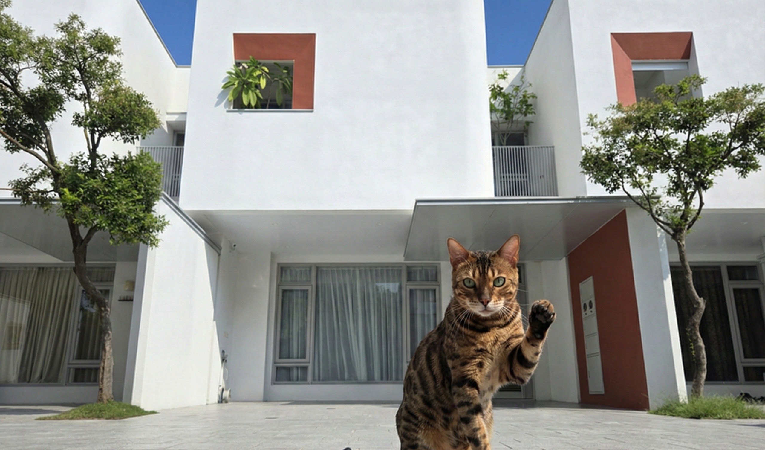里山喵居民宿-1