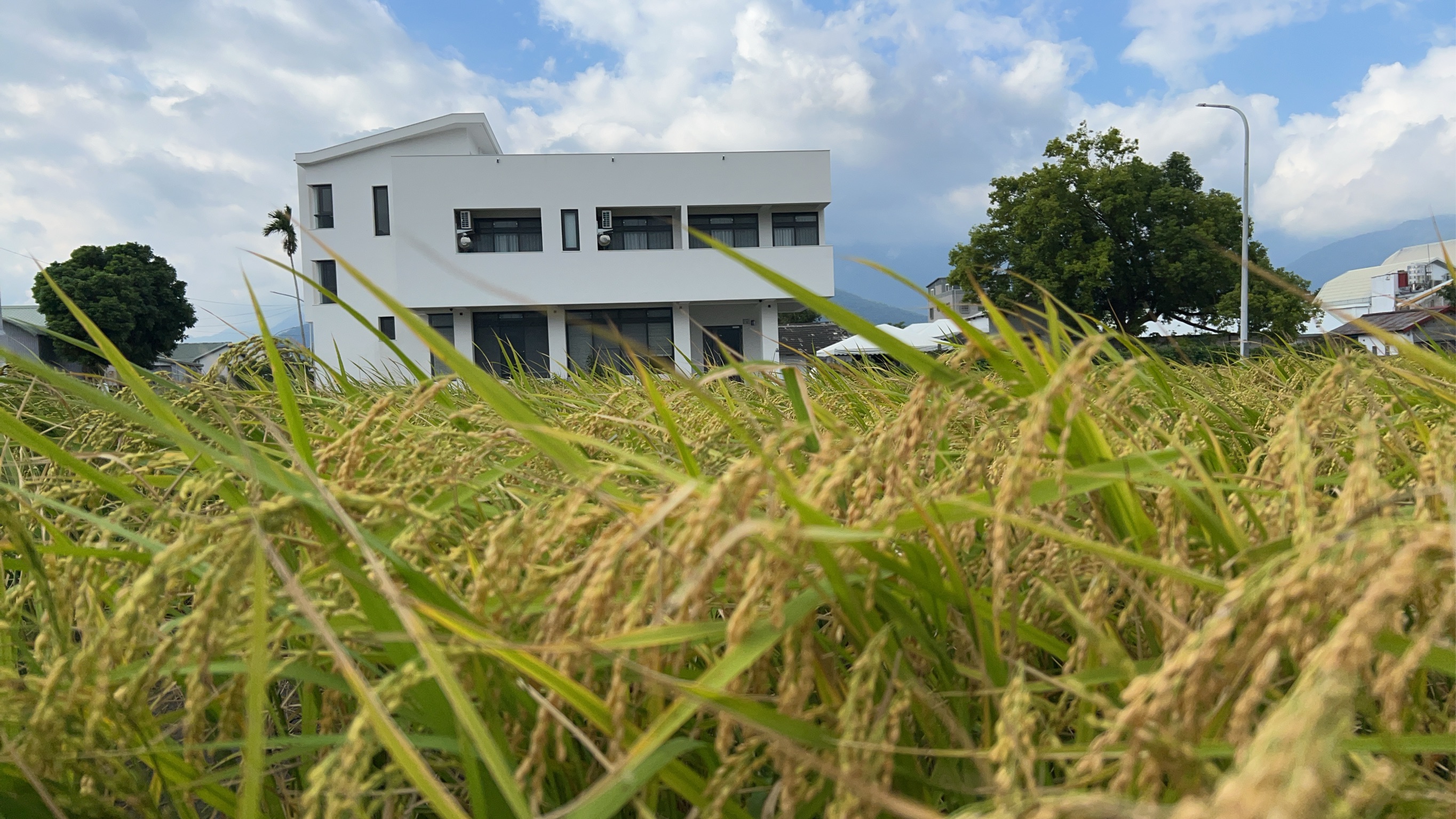 日春池上民宿-3