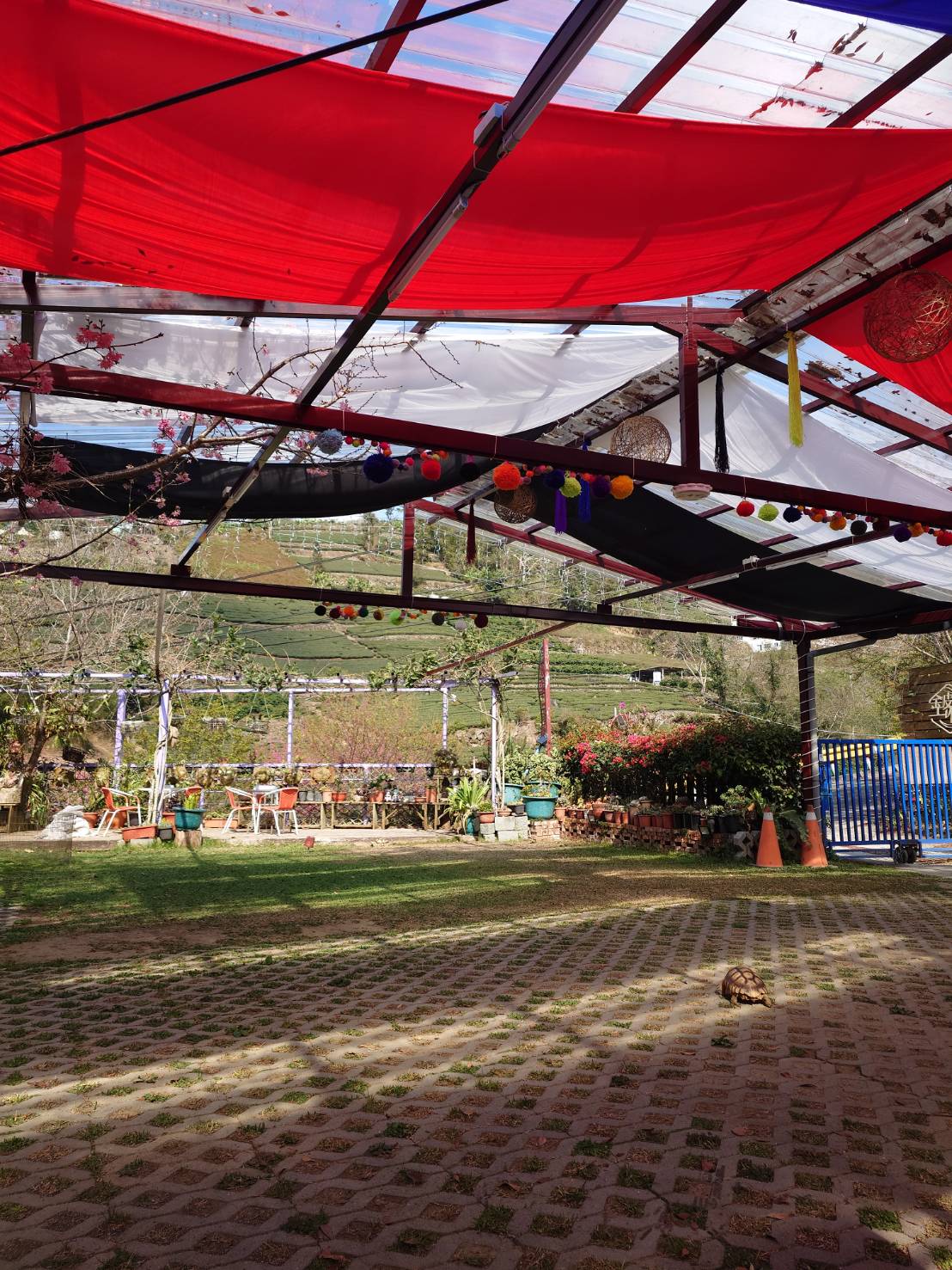 金皮雕工作室民宿-8