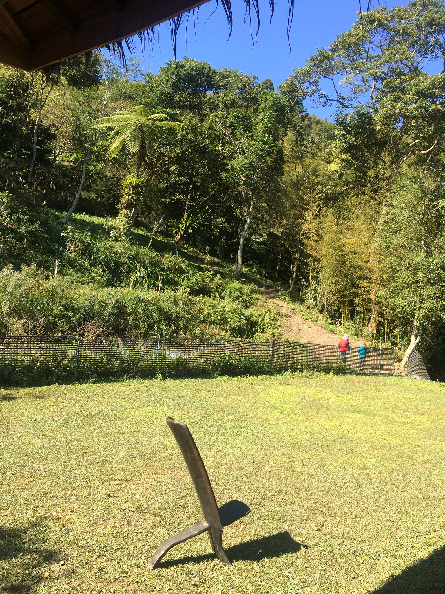 有竹居-4