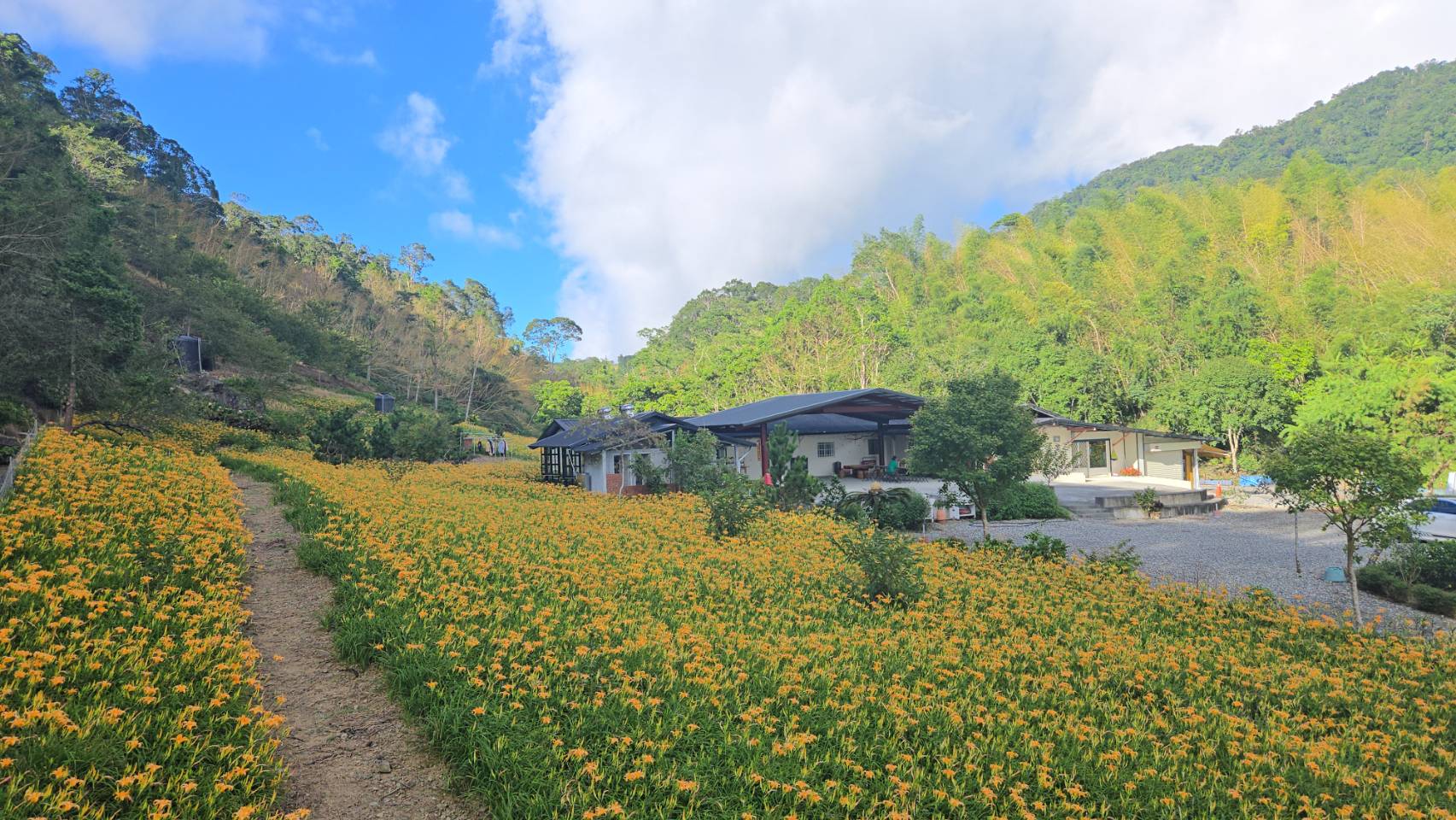 赤科山櫻之谷民宿-6
