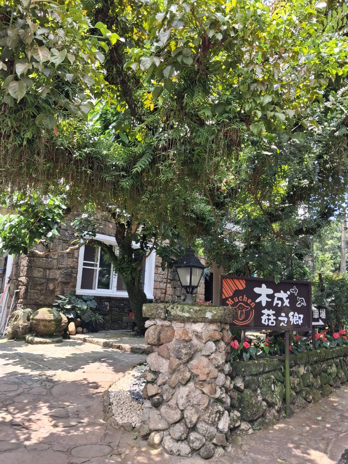 木成菇之鄉溫泉民宿-1