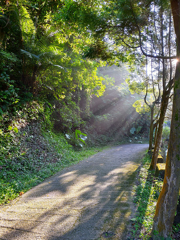 岩川民宿-10
