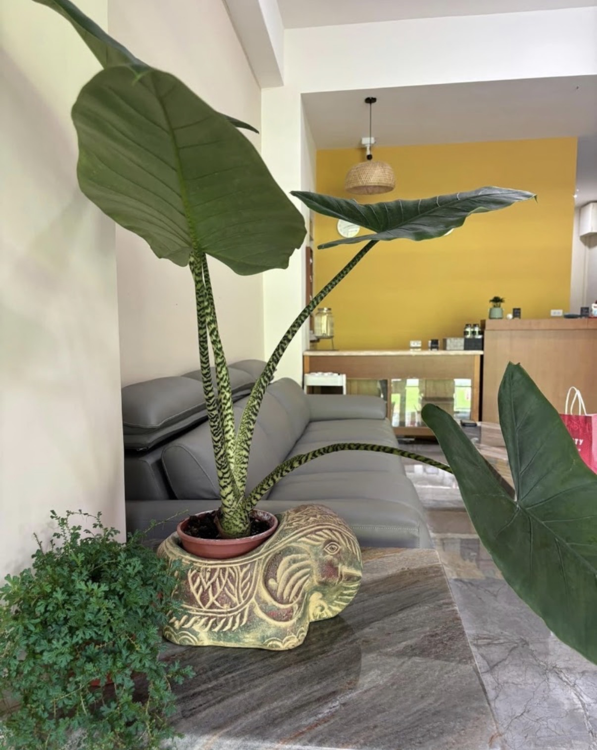 粨倉文旅-2