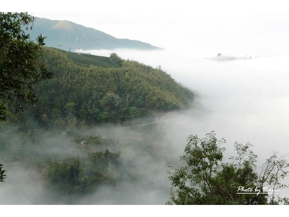 山景之美，隨處可見，氣候涼爽宜人