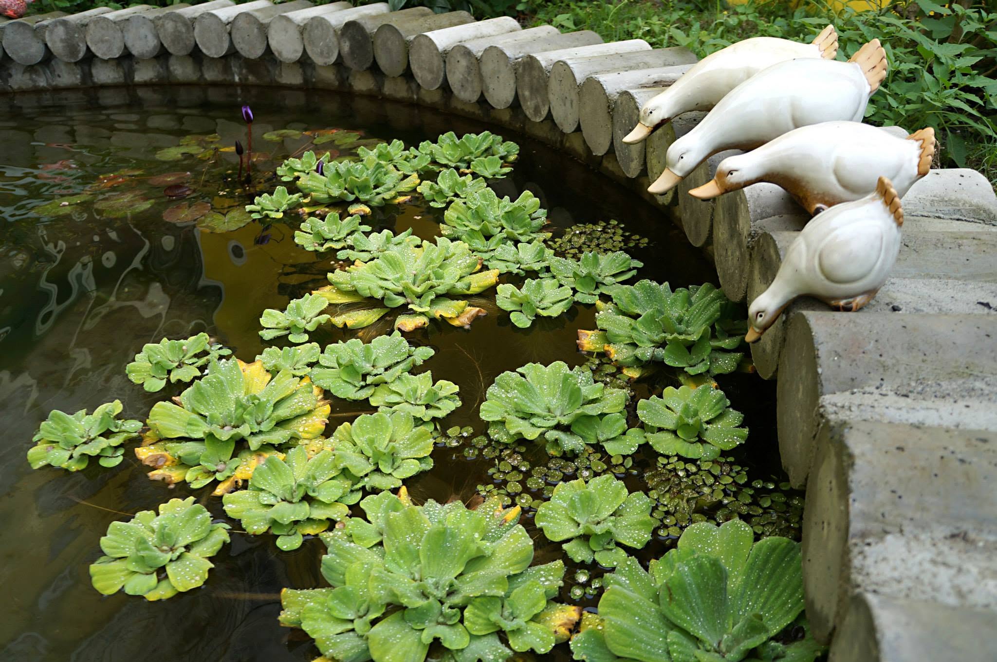 依比鴨鴨水岸會館民宿-4