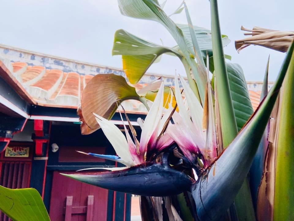 依山行館-3