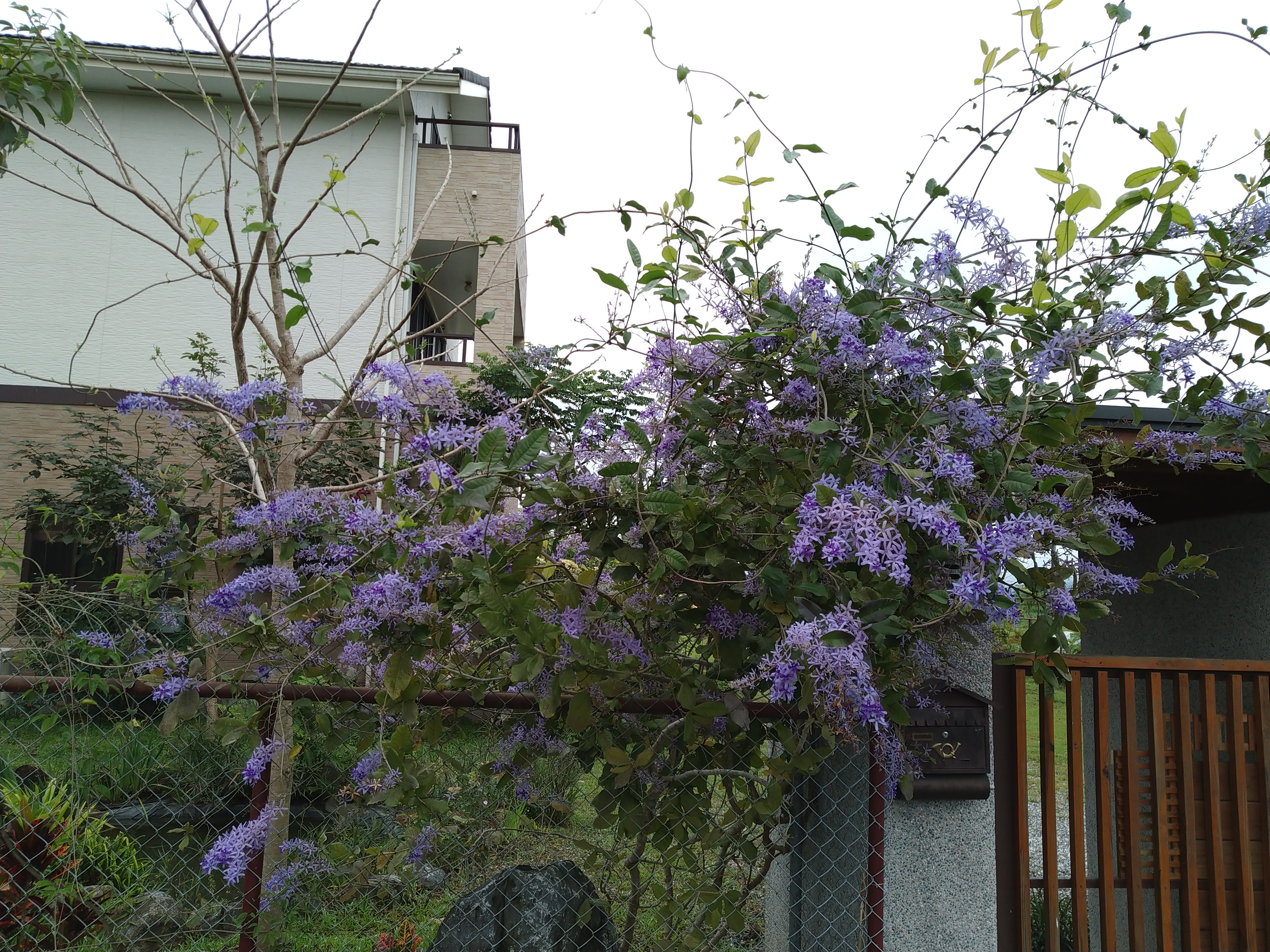 隱花民宿-8
