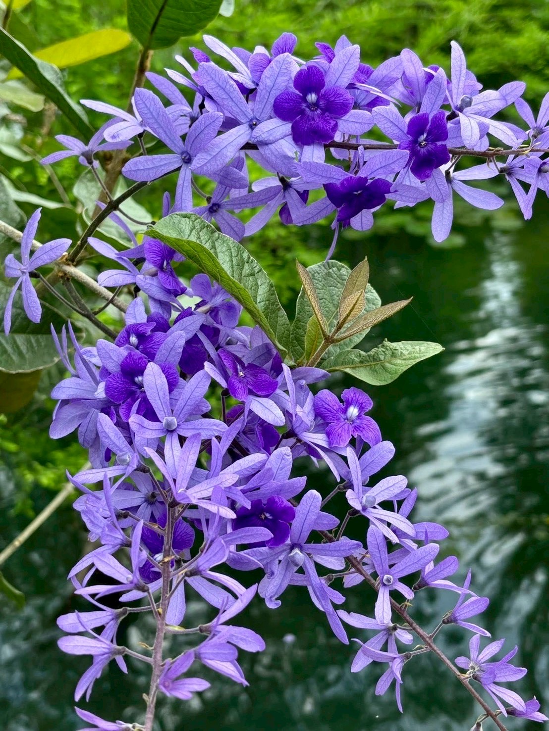 幸福倍增-5