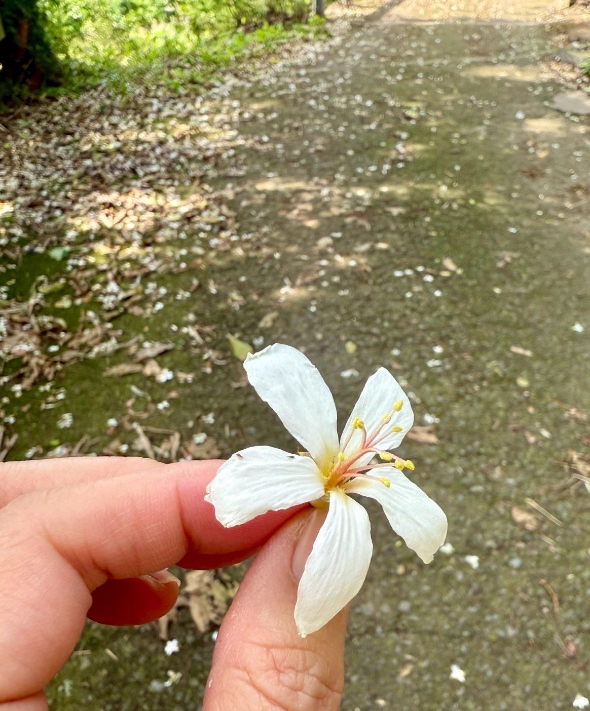 幸福倍增-6