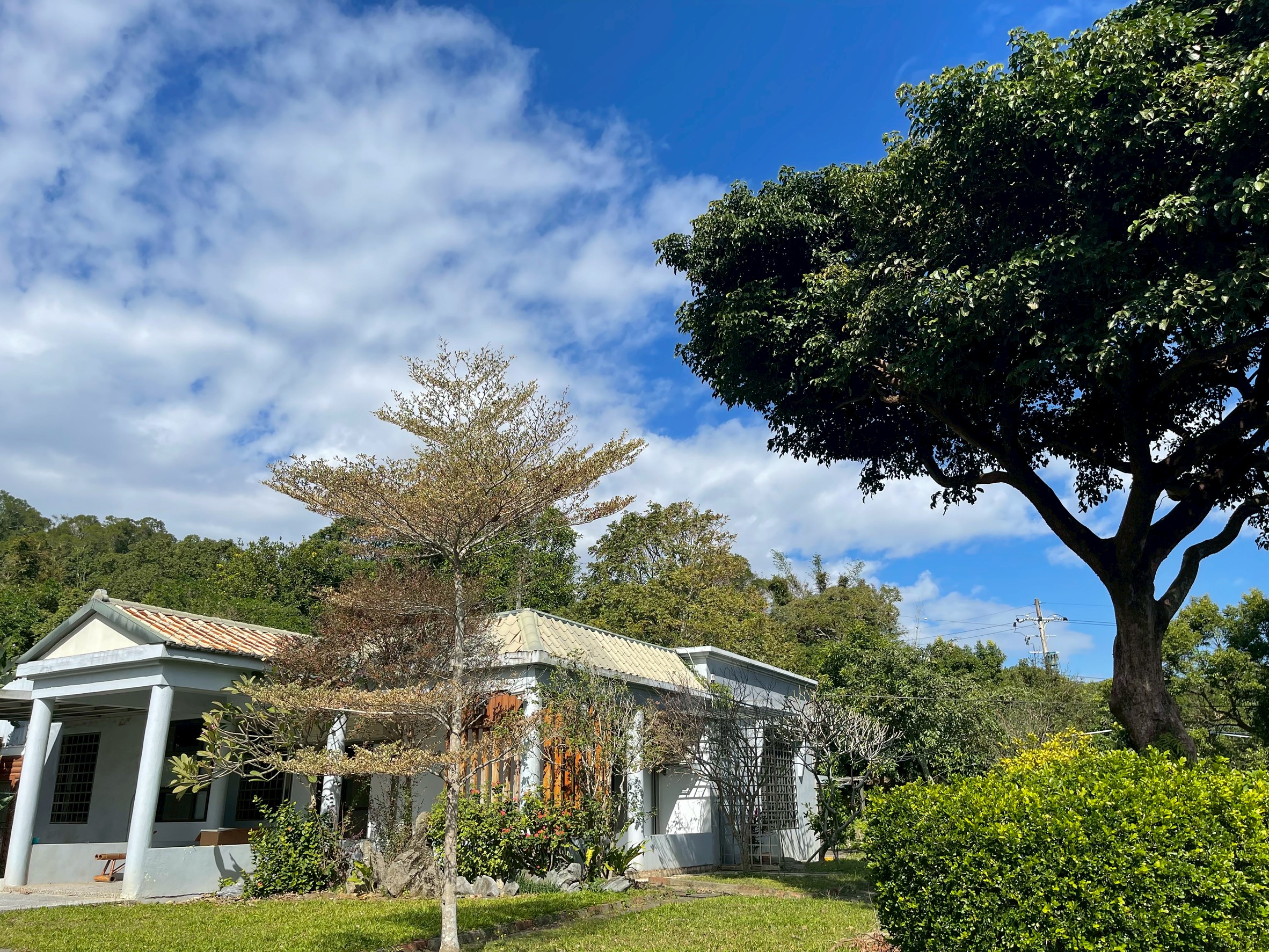 依林肆庭園蔬食民宿-1