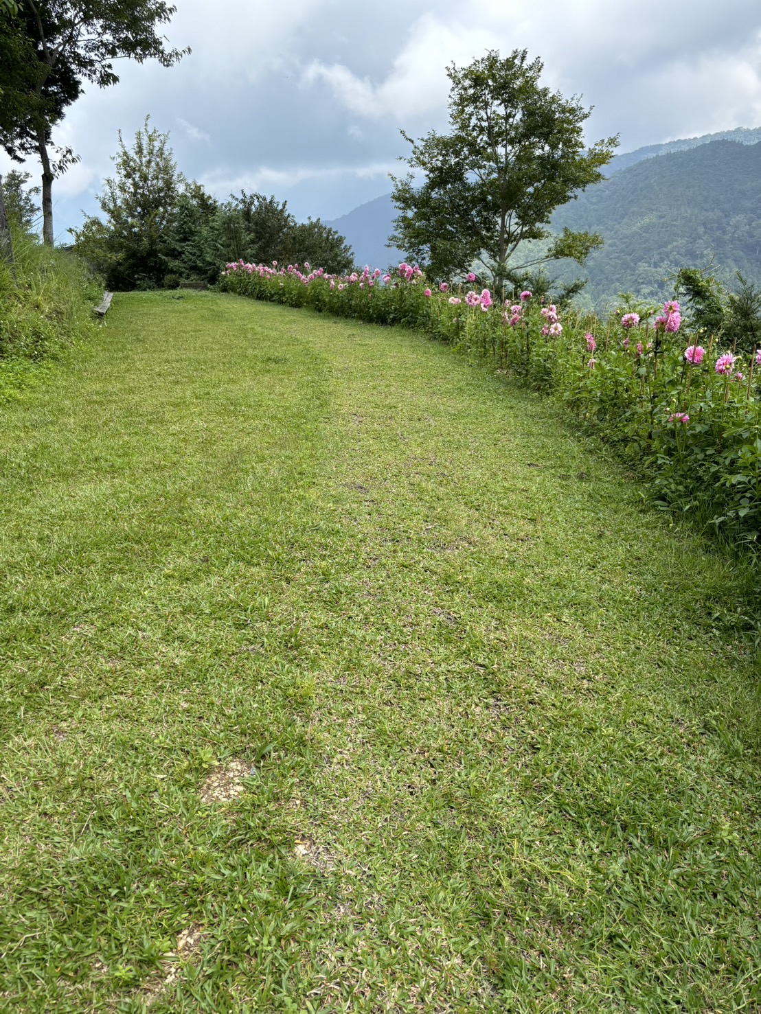 加草花園山莊-4