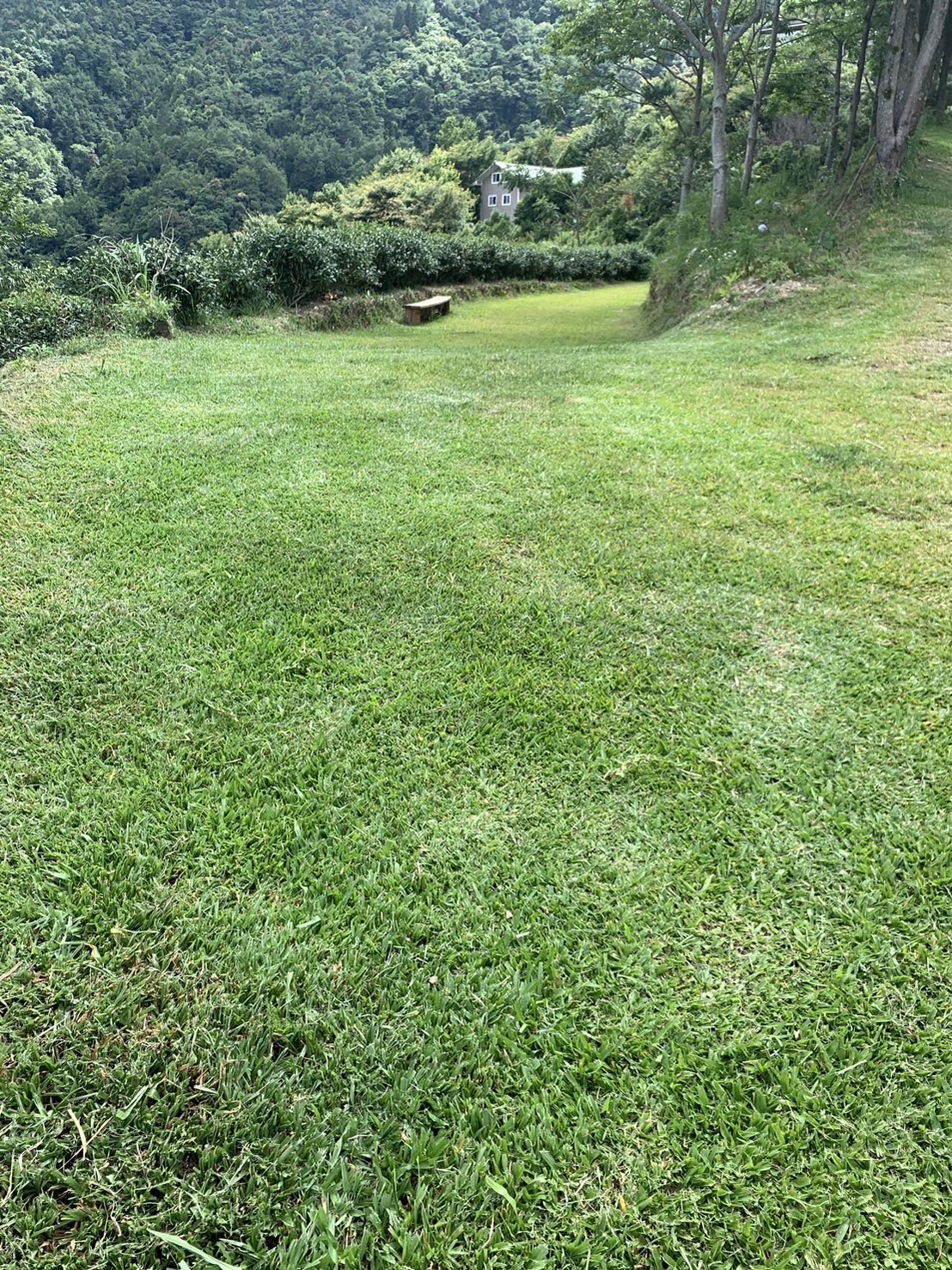 加草花園山莊-7