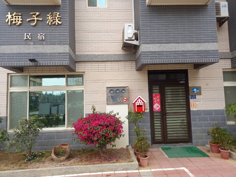 梅子綠-2