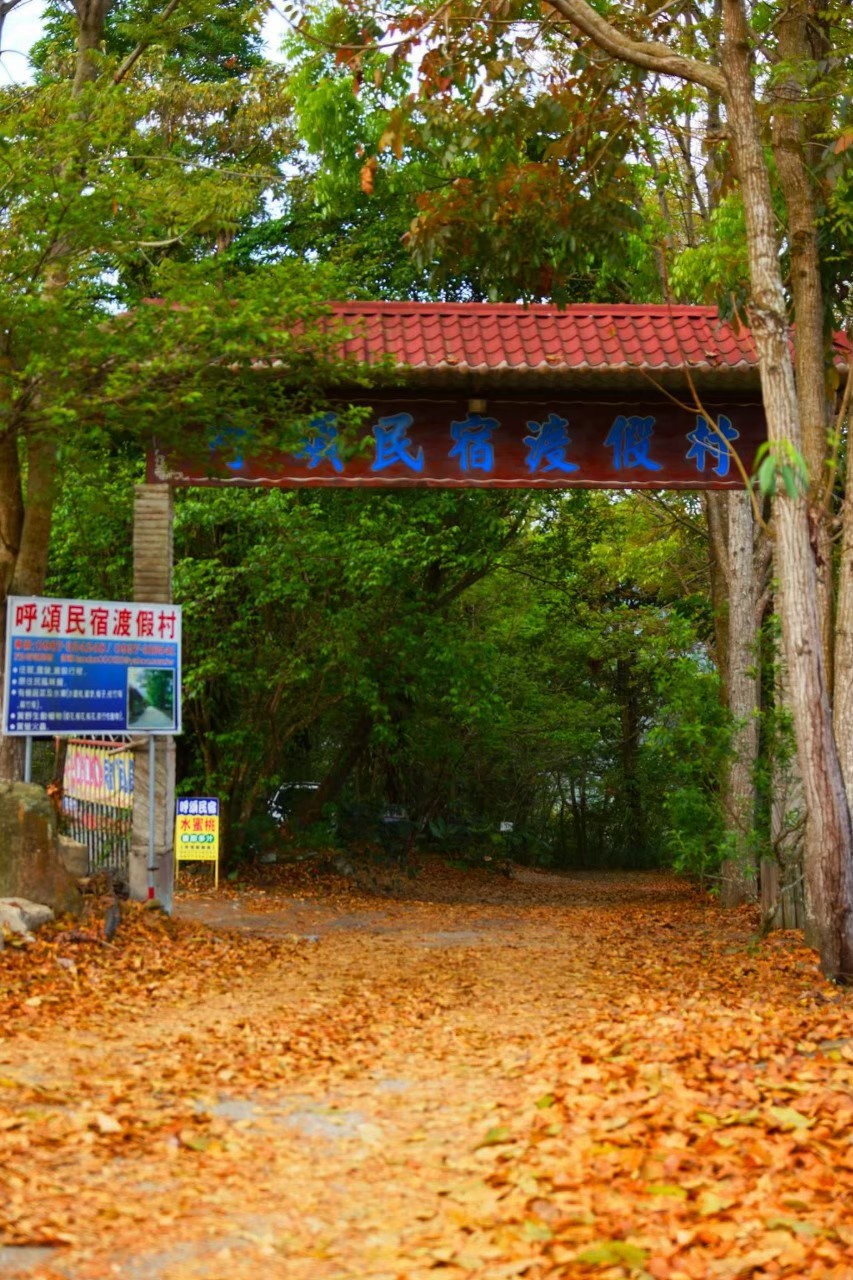 呼頌民宿渡假村-6