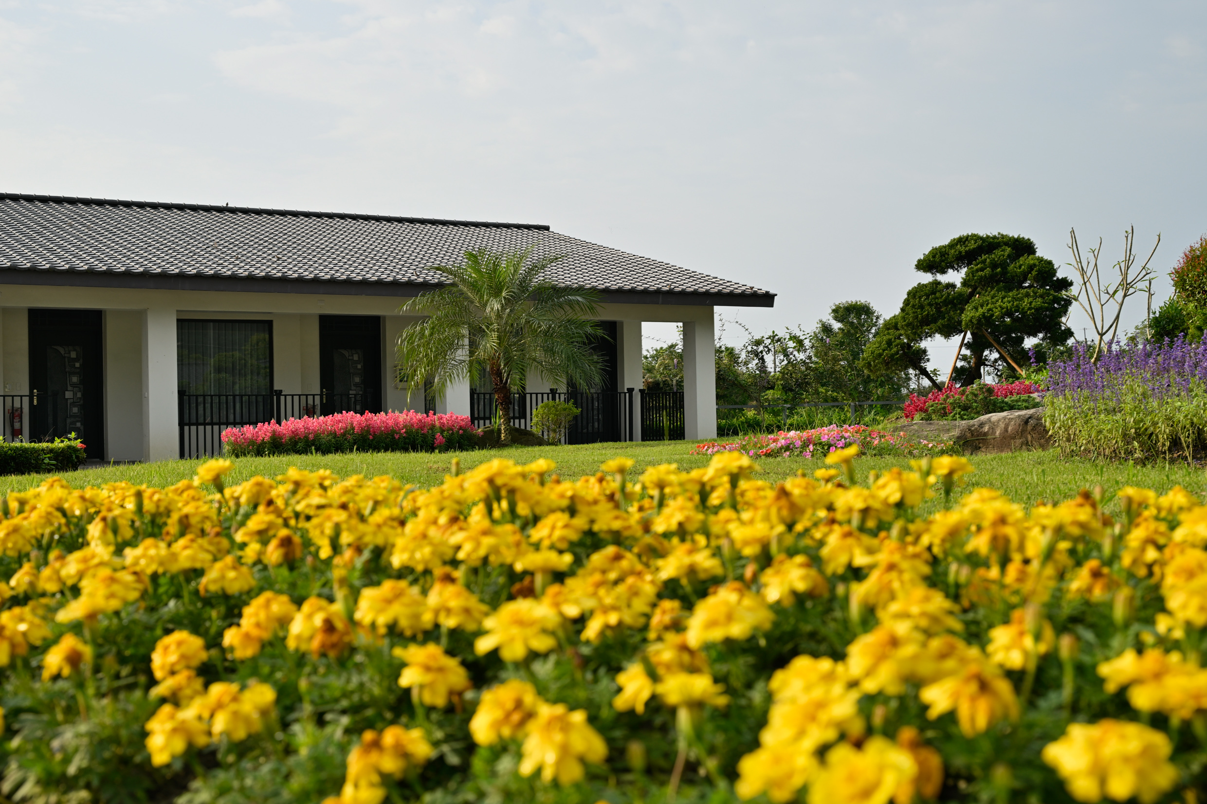 朵秧莊園-3