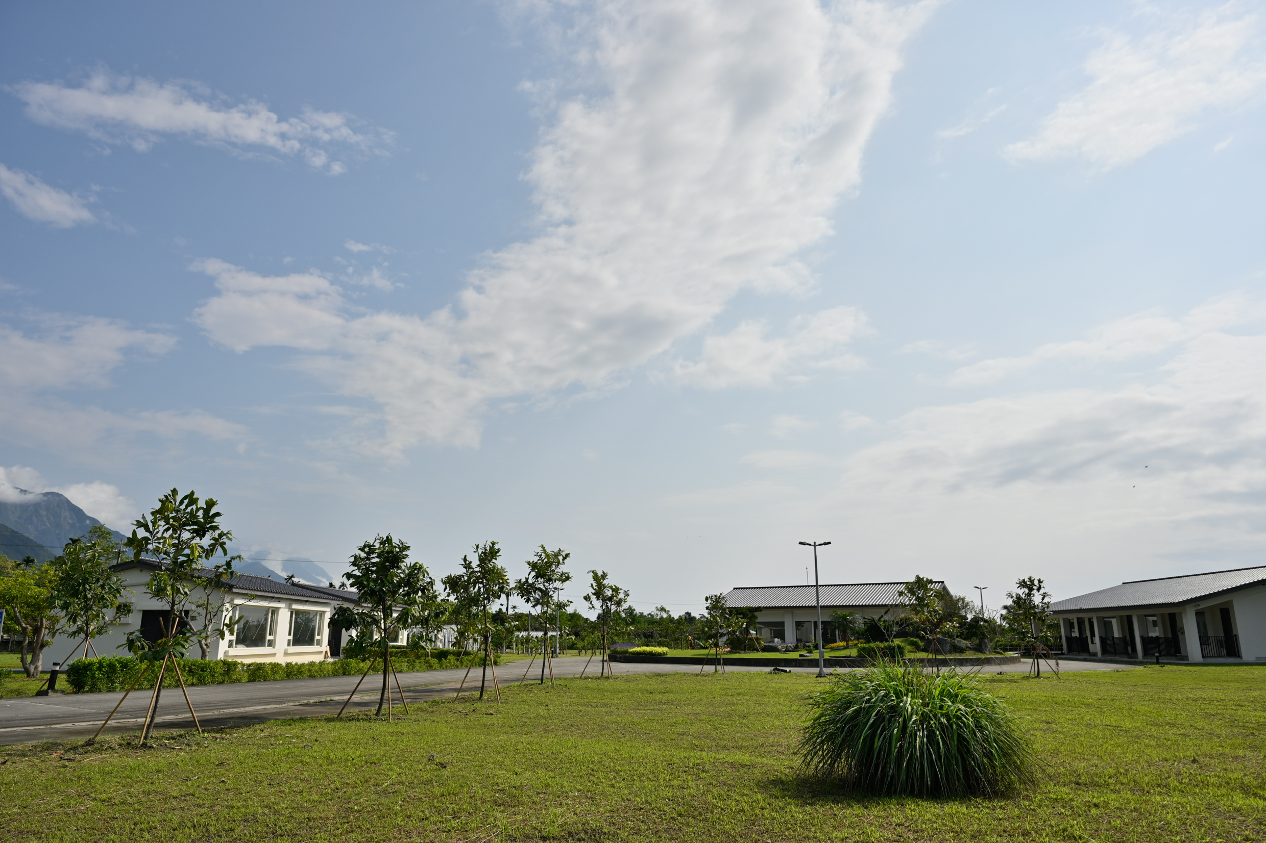 朵秧莊園-6