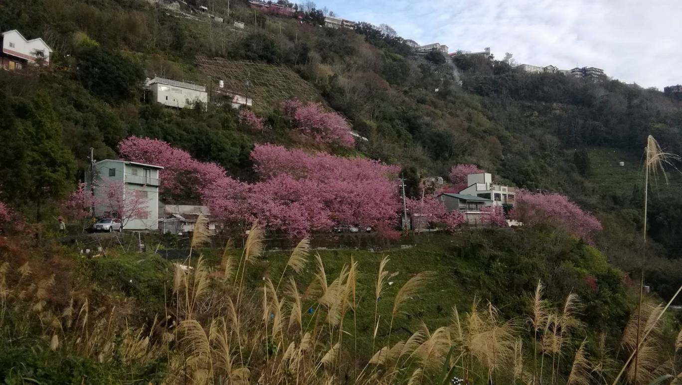 二馬山莊-6