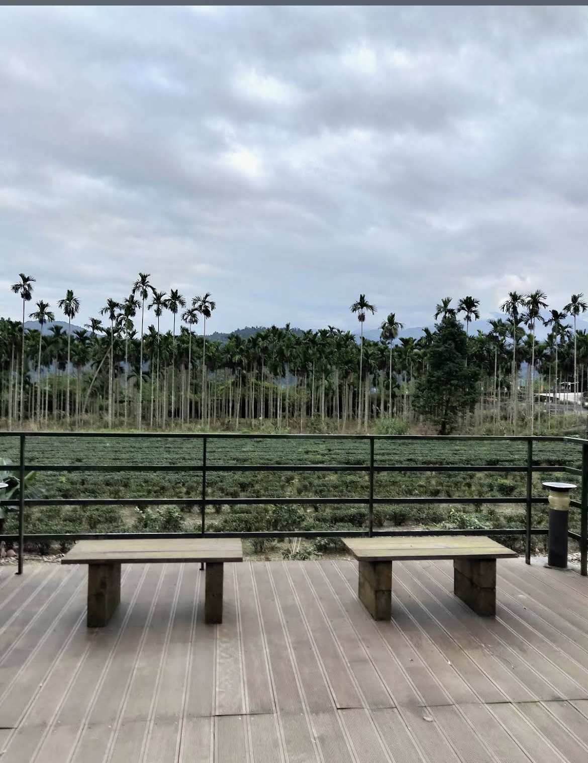 茶鄉園-4