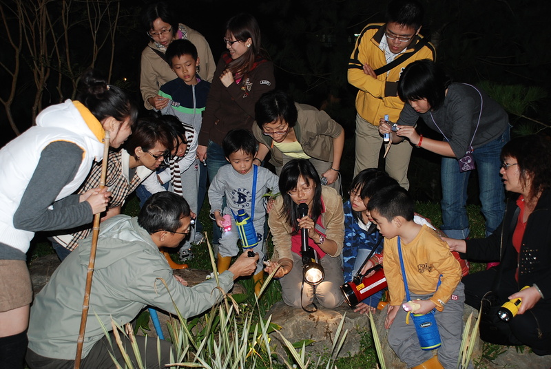 夜間生態導覽