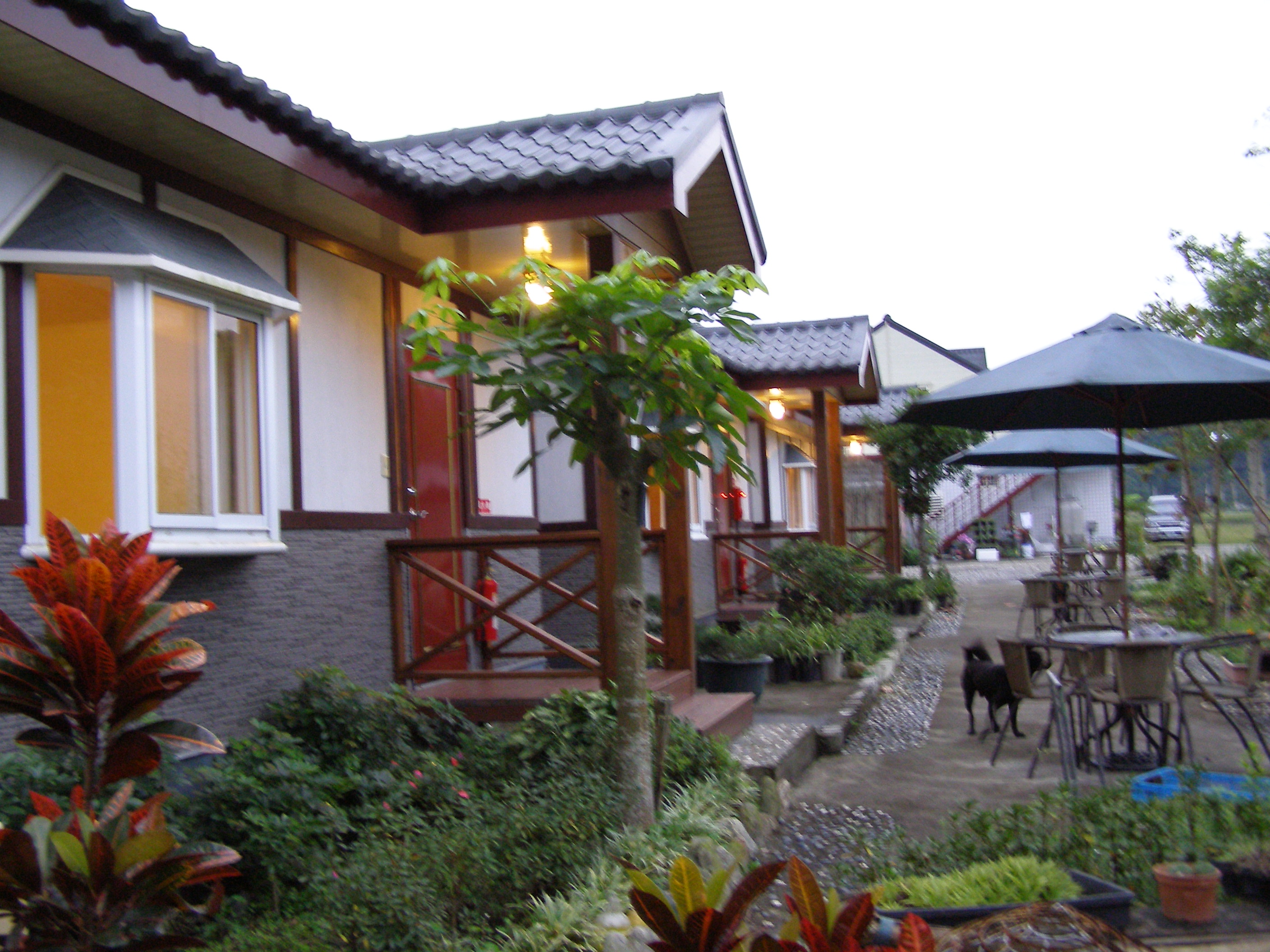 鳳凰宿甲蟲生態民宿-3