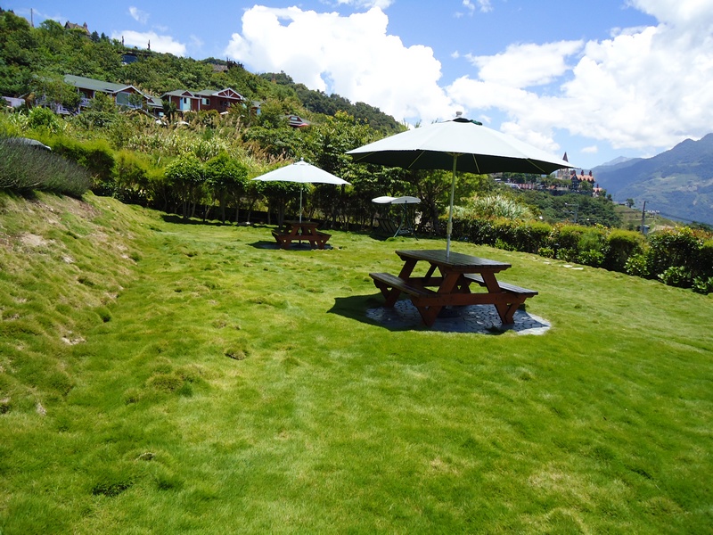摘星花園山莊(特色民宿)-4
