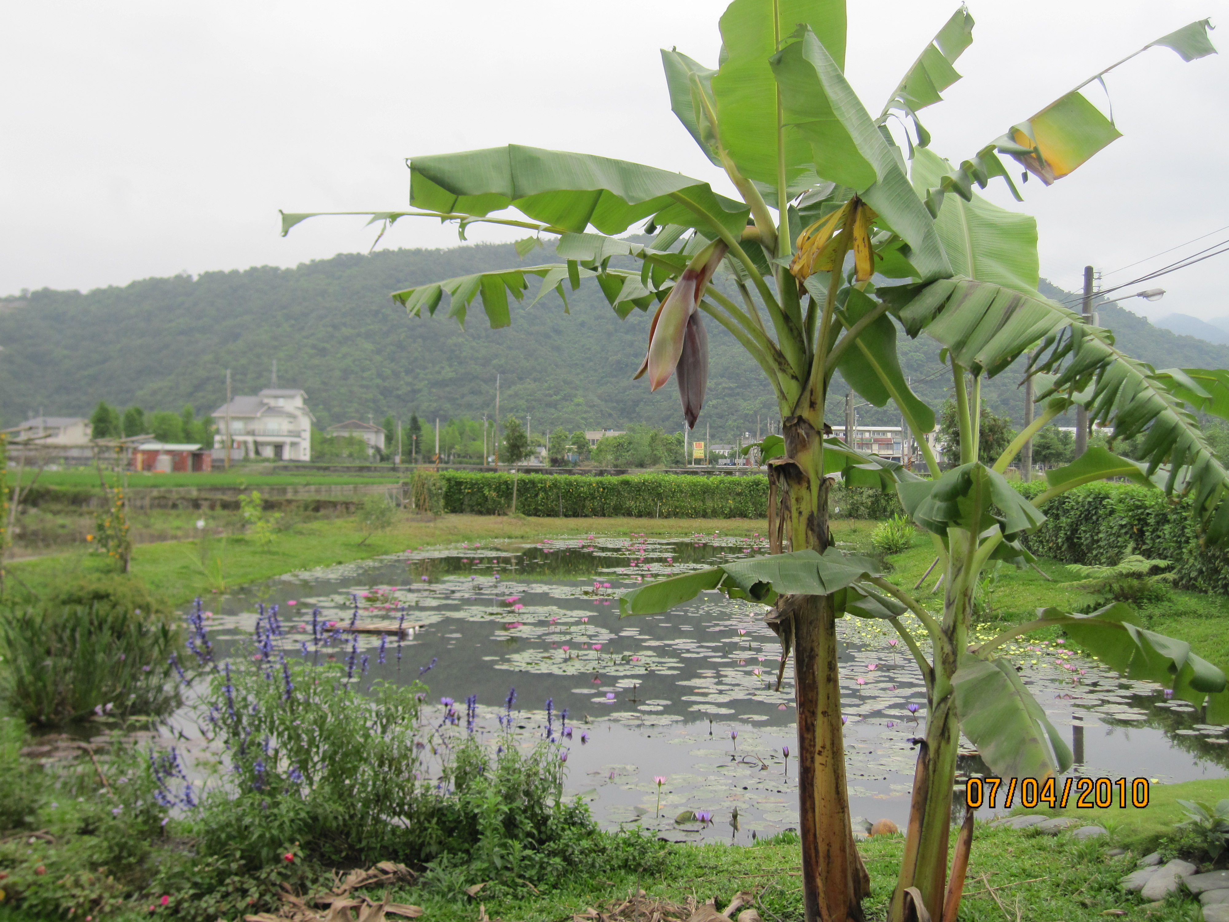 愛樂耕民宿-4
