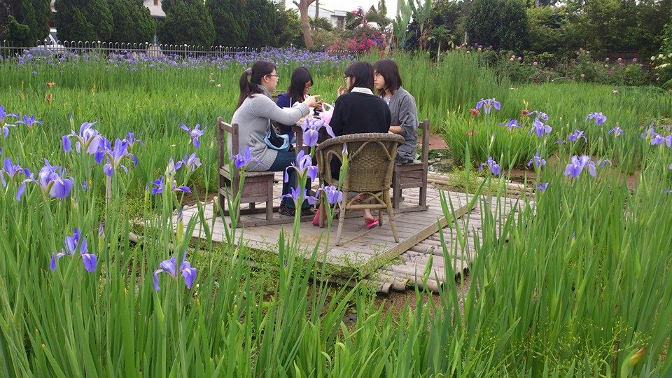 鳶尾花田 餐桌