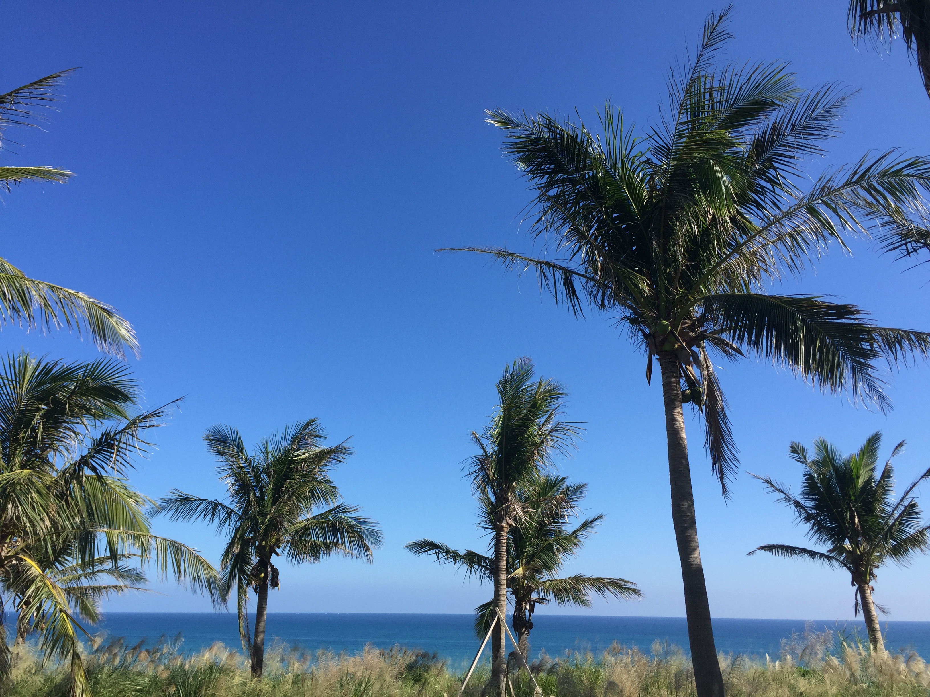 蘭花楹海景民宿8