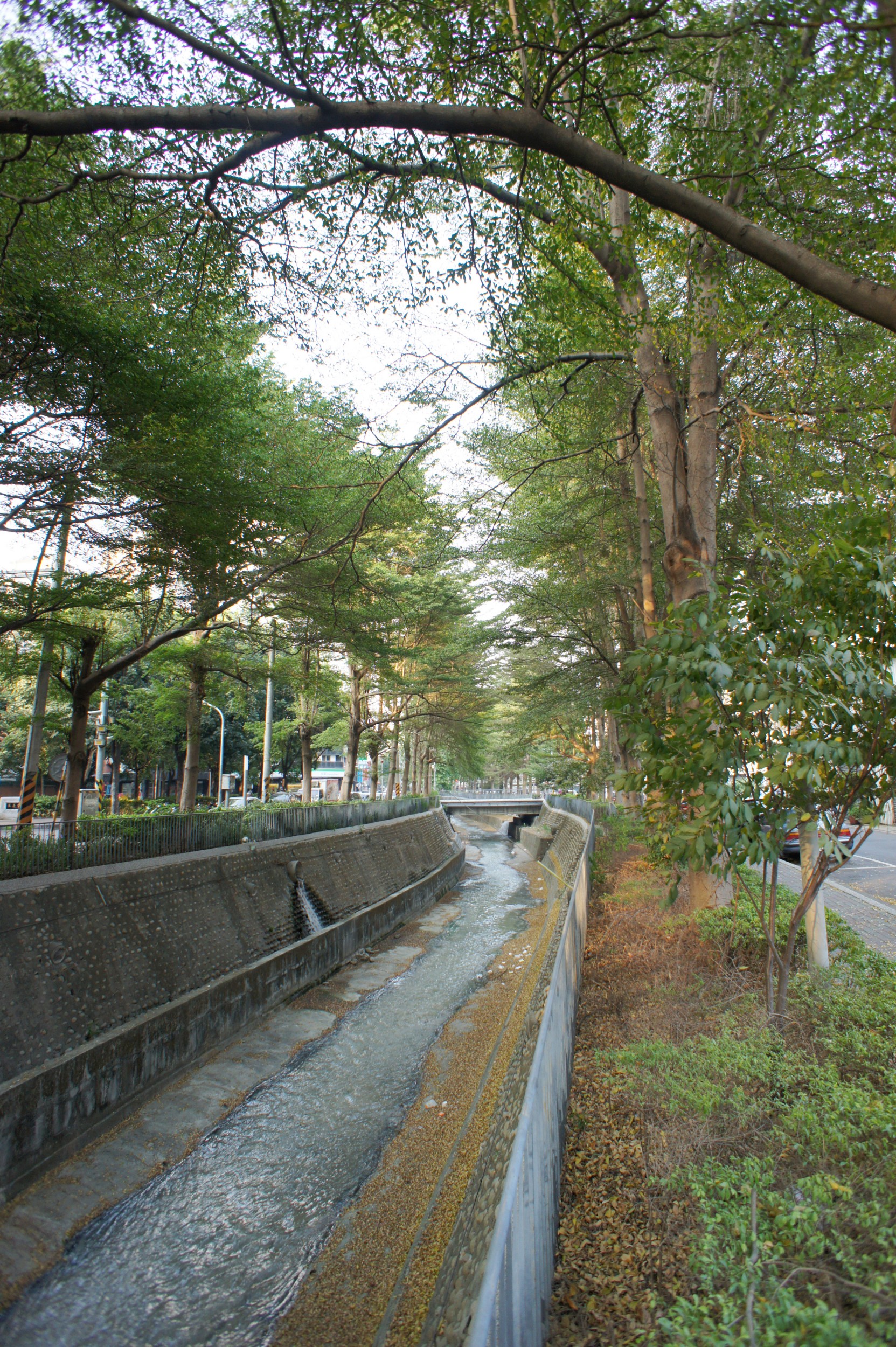 週邊景觀-至善綠園道