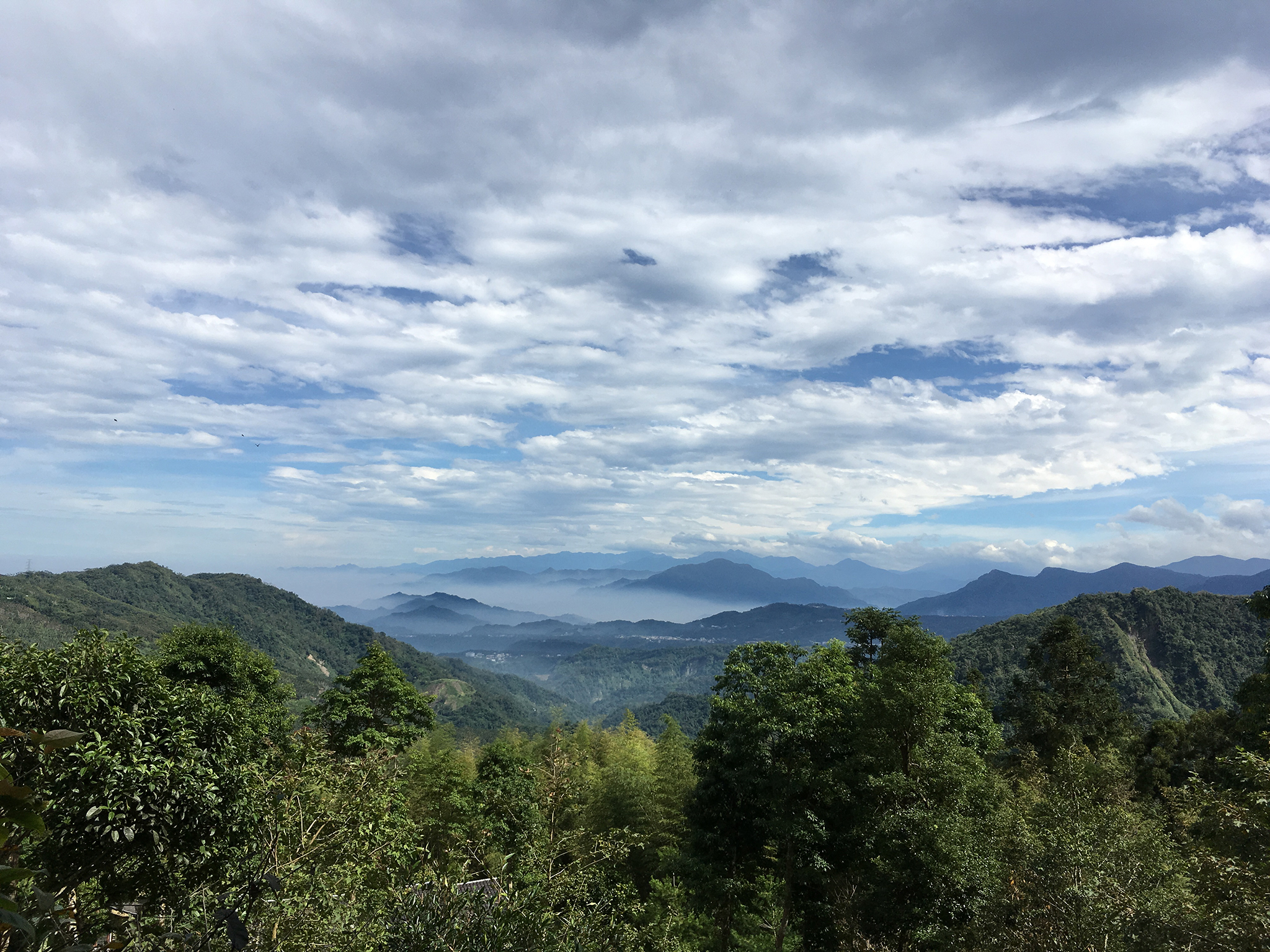 有竹居-5