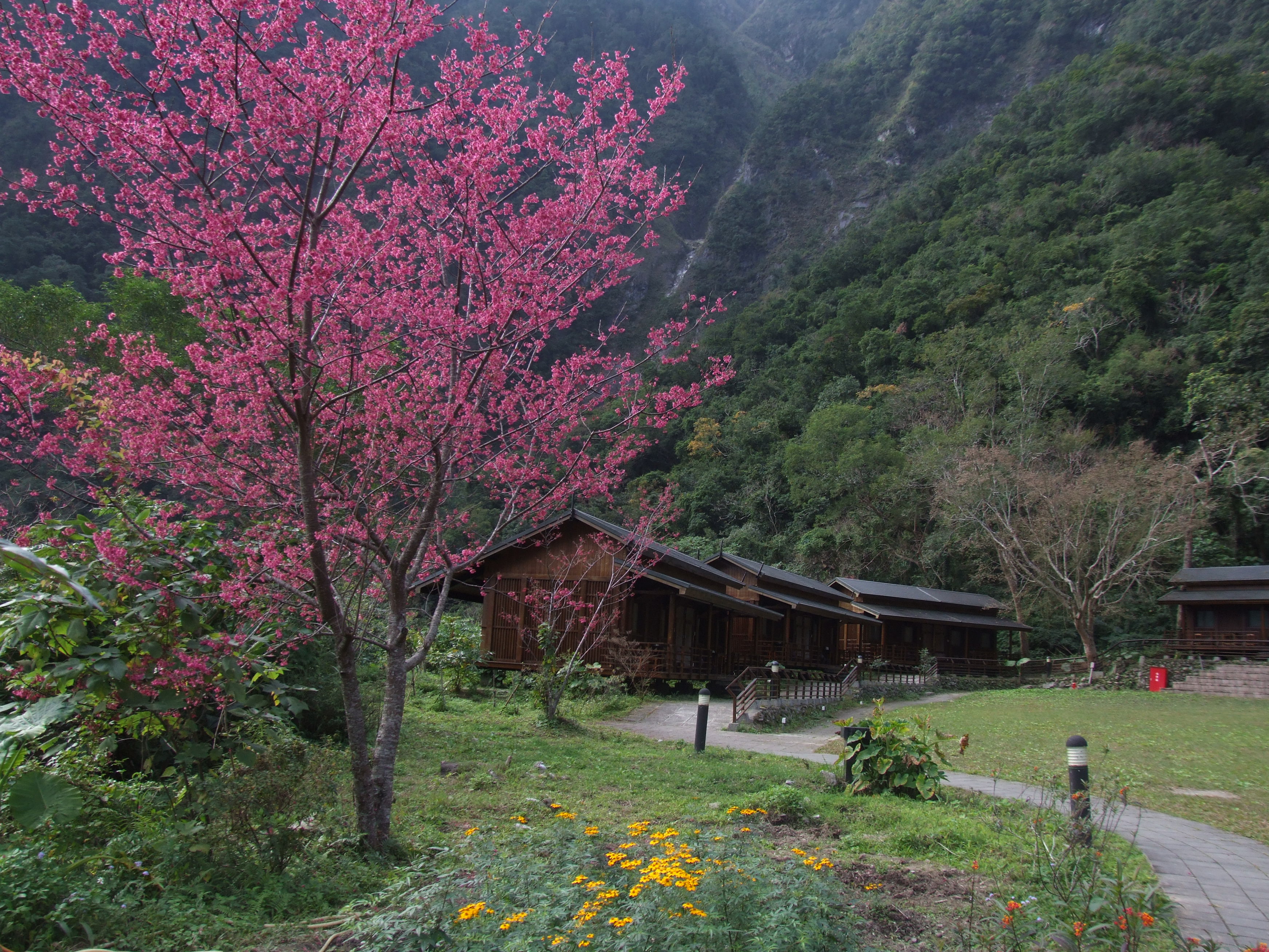 太魯閣山月村-9