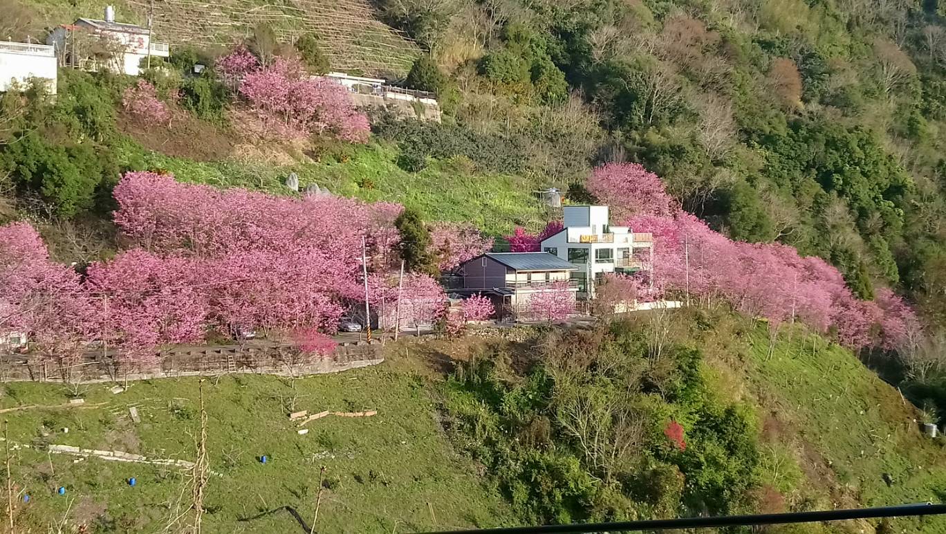 二馬山莊-8