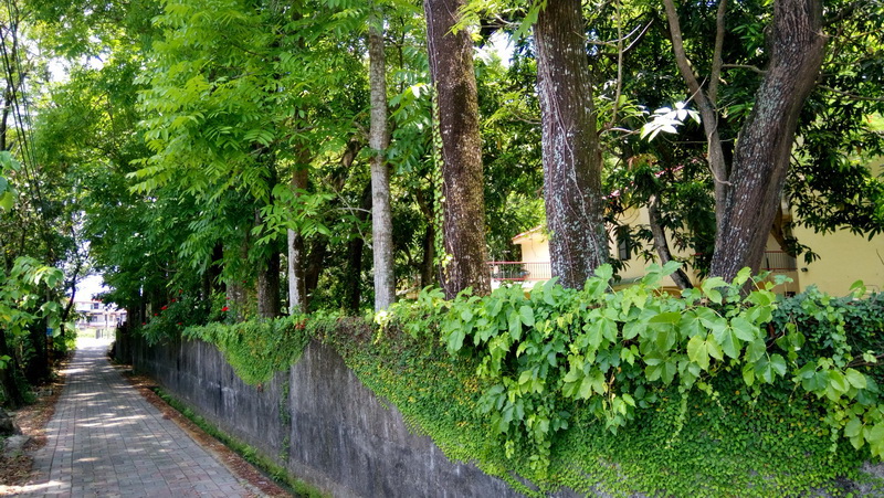 美濃雲山居民宿-3