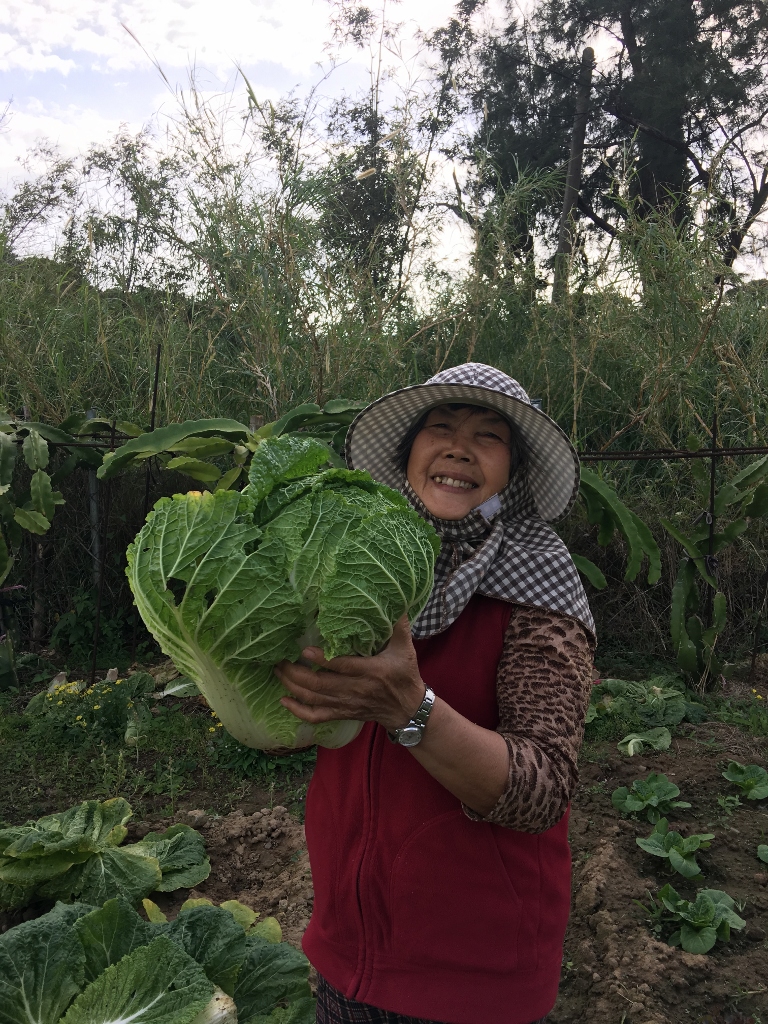 本媽開心農場
有機安全蔬果
餐桌就在產地
低碳安全蔬食